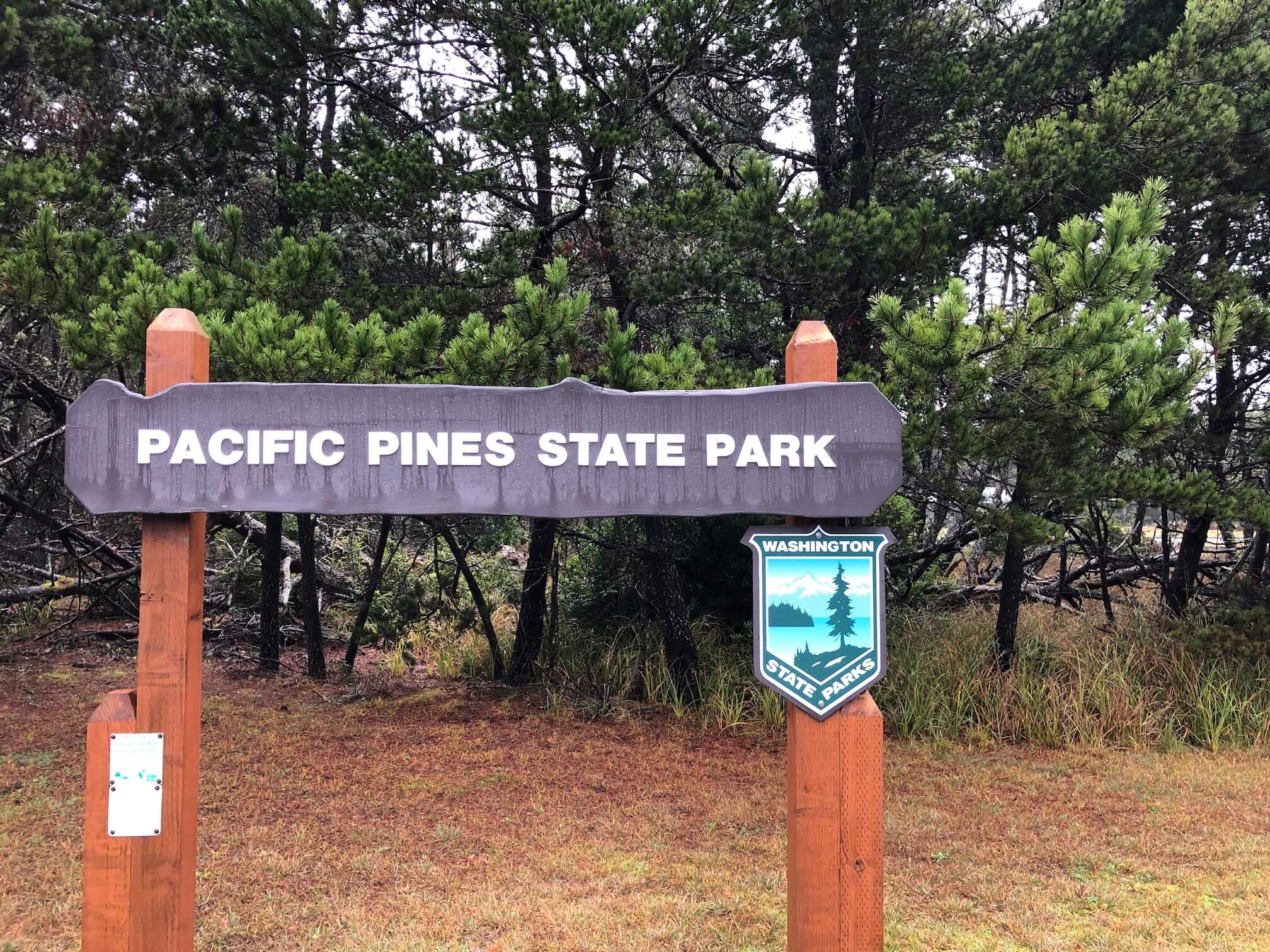 Pacific Pines State Park state parks quest 18 Lauren Danner